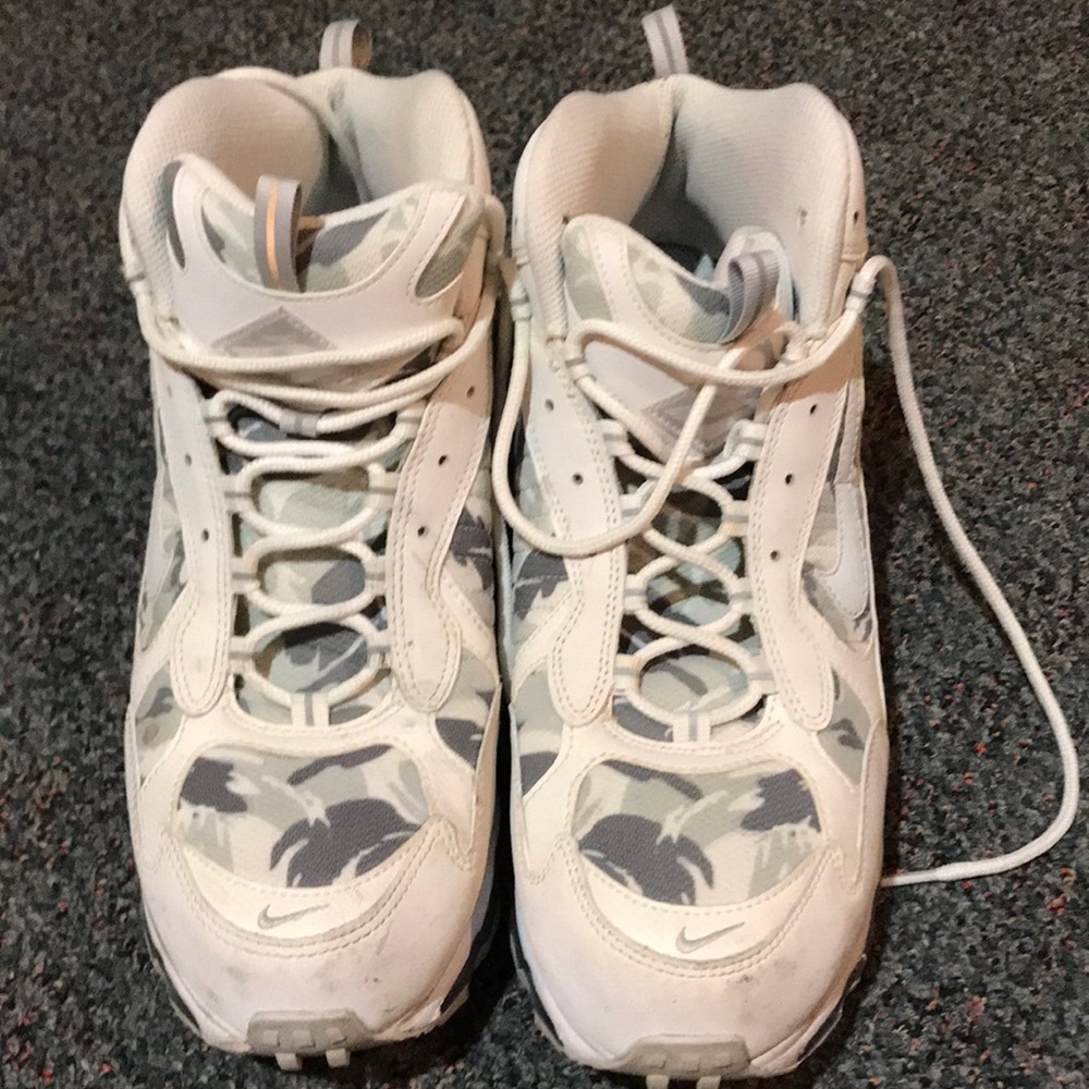 Nike Air Max shoe